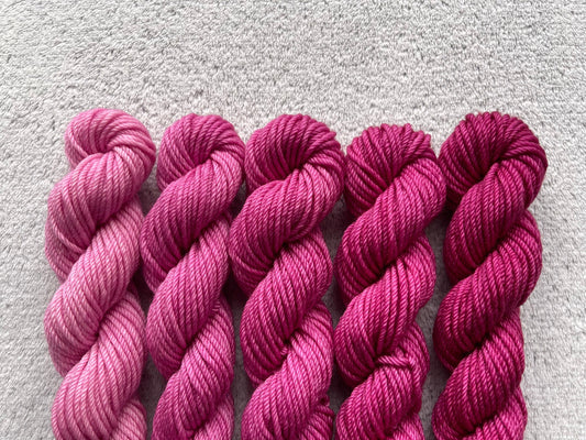 Fuchsia Minis Set