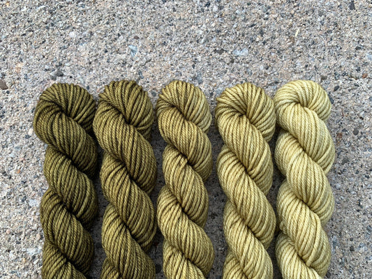Herb Minis Set