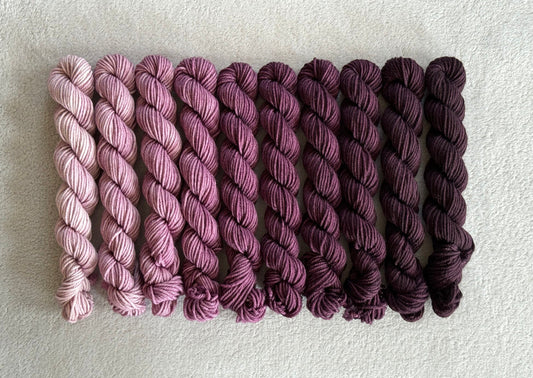 Aubergine 10-Skein Minis Set