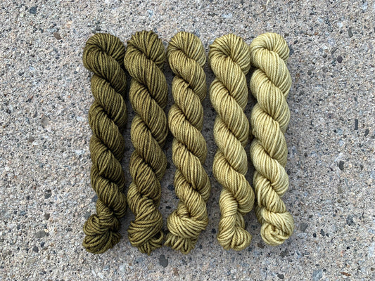 Herb Minis Set