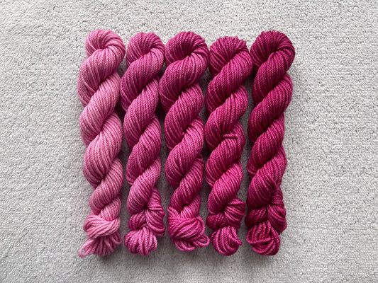 Fuchsia Minis Set