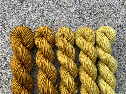Mustard Minis Set