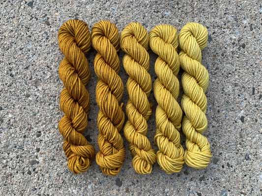 Mustard Minis Set